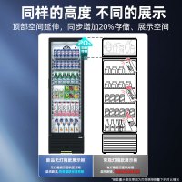星星(XINGX)LSC-310FYPE展示柜冷藏饮料柜一级能效单门立式冰柜商用保鲜冰箱风直冷超市便利店陈列柜啤酒水果柜