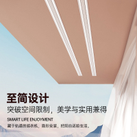顶固(TopStrong)电动晾衣架HW05 全嵌入式LED隐形晾衣机两线天无线射频遥控双条LED柔光照明轻托上升