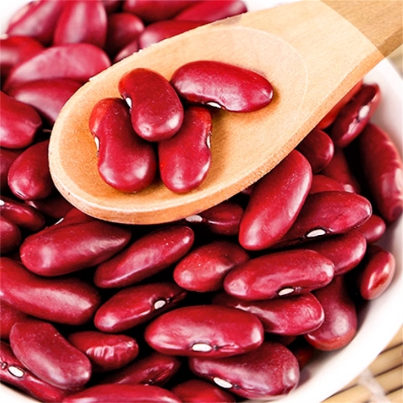 甄选红芸豆100克正品货五谷杂粮豆煲汤红芸豆五谷杂粮9260高清大图