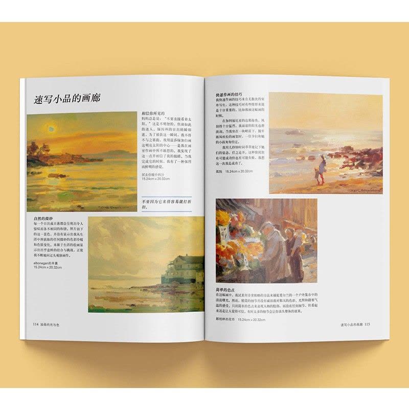 [醉染正版]油画的光与色 经典版 自学油画大师课西方经典美术技法译丛风景静物肖像人物油画写生创作速写光影色彩绘画技法作品图片