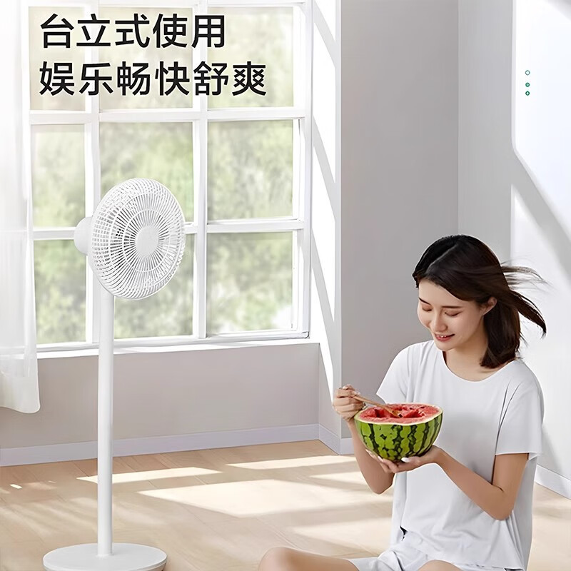 艾美特落地扇节能大风力空气循环摇头立式风扇轻音定时省电大风量电风扇 LPF06[mini基础款]高清大图
