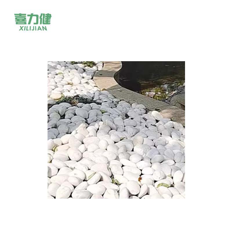 喜力健 天然白石子 2-4CM 袋高清大图