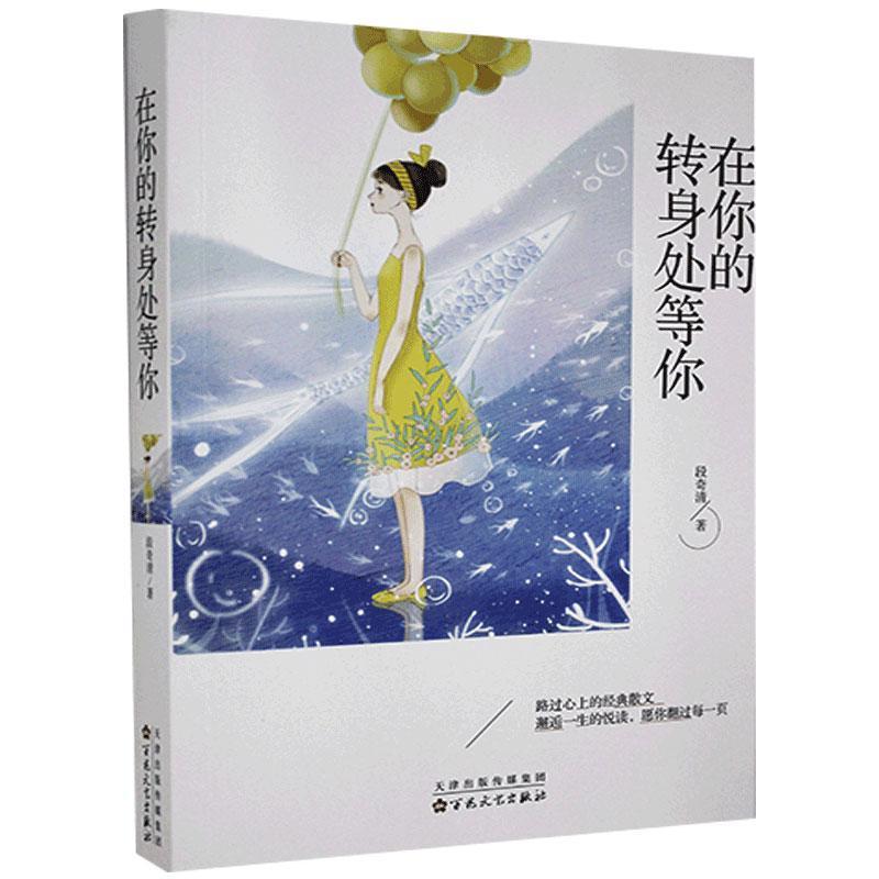 正版新书】在你的转身处等你段奇清9787530677971