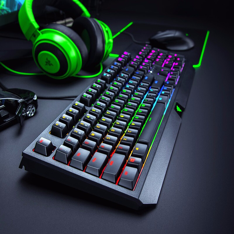雷蛇(Razer)黑寡妇蜘蛛 机械键盘 绿轴 有线键盘 游戏键盘 电竞吃鸡键盘 幻彩版