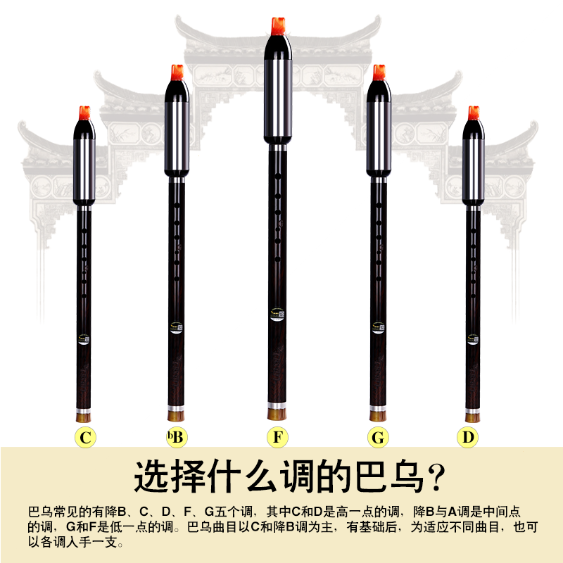 竖吹巴乌黑檀乌木g调f调dc降b调演奏录音型(巴乌