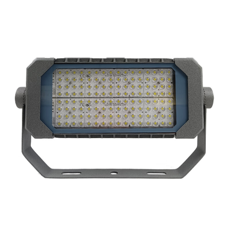 勇玖(LIGHTFOREVER) LED投光灯 SZYJ9760 100W(套)