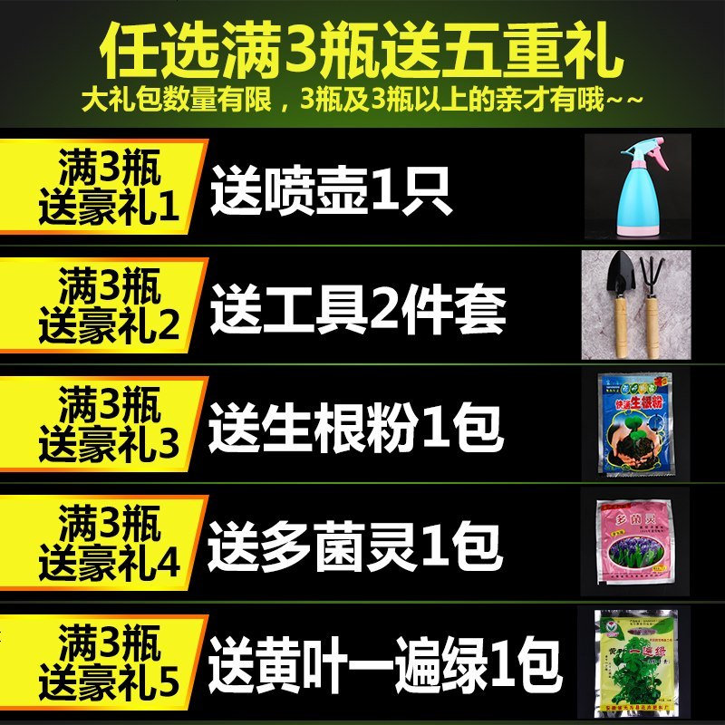 发财树专用肥料颗粒肥固体肥营养液黄叶绿叶施肥盆景有机肥
