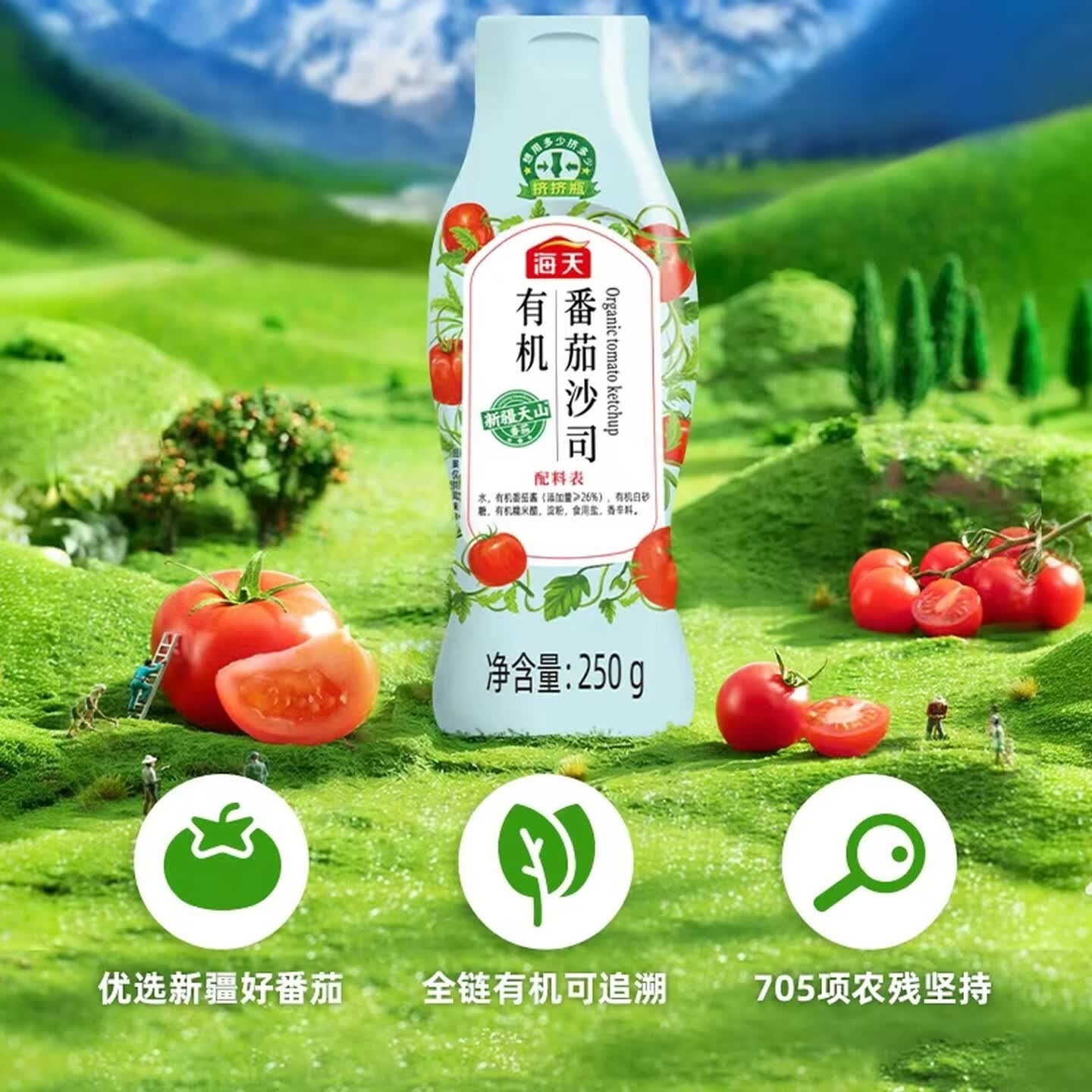 海天番茄酱 番茄沙司250g 0添加防腐剂 0脂肪 有机 蘸薯条 挤挤瓶高清大图
