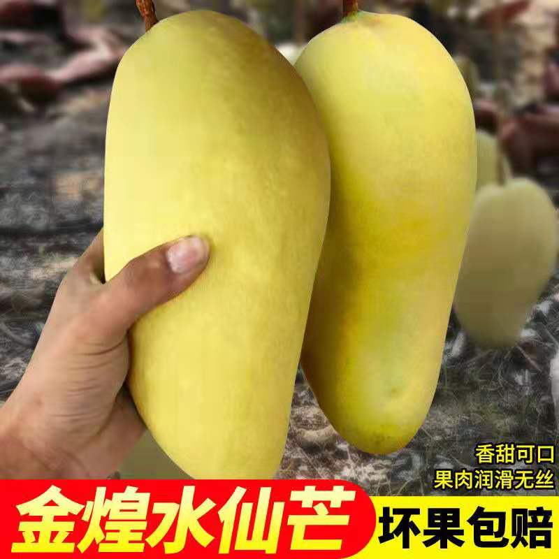 水仙青芒 报价行情 排行 品牌 参数 怎么样 图片 商家 苏宁易购