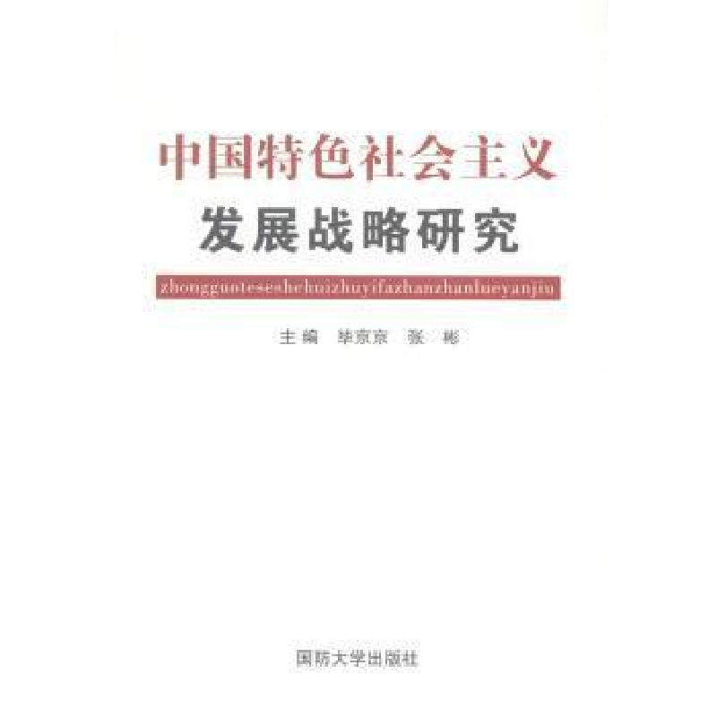 正版新书]中国特色社会主义发展战略研究毕京京9787562622710高清大图
