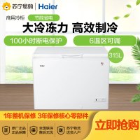海尔(Haier)315升 卧式冷柜 断电保护 节能省电 大冷冻力 商用大冰柜 BC/BD-315HDB