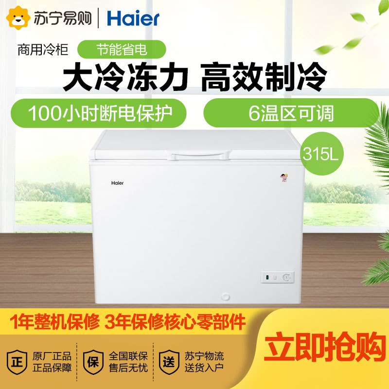 海尔(Haier)315升 卧式冷柜 断电保护 节能省电 大冷冻力 商用大冰柜 BC/BD-315HDB
