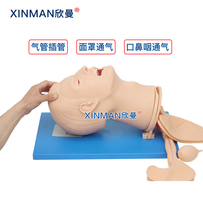 欣曼科教 高级全功能气道管理模型 高级气道管理模拟人XM-QD11高清大图