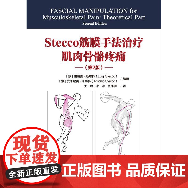 Stecco筋膜手法治疗肌肉骨骼疼痛 第2版 筋膜领域意大利学派领军人物Luigi Stecco 解剖列车译者关玲教授高清大图