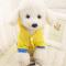秋冬宠物泰迪小狗狗衣服幼犬比熊贵宾犬四脚卫衣背心宠物服饰