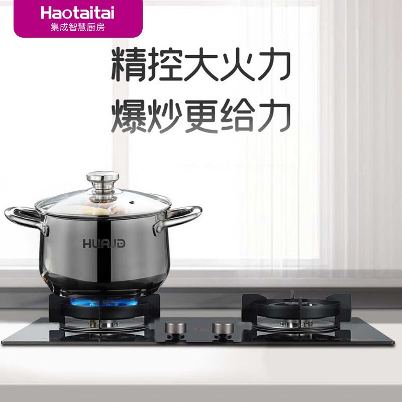 Haotaitai 燃气灶 JZT-2107B1 家用双灶 5.0kW火力 黑钢玻璃面板 天然气