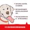 小狗钱钱 财富启蒙金融读物3-6-8-12岁 儿童小学生家庭理财书 小狗钱钱 财富启蒙金融读物3-6-8-12岁 儿童小