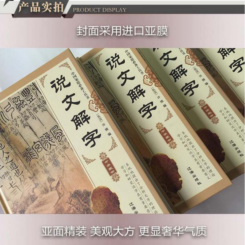 正版 说文解字(全套四册)中国汉字源流 中国古代古汉语常用词典辞典 说文解字段玉裁注 汉子的故事 画说汉字书