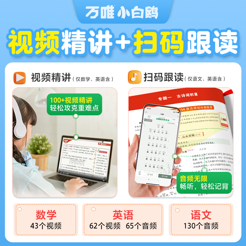 语文+数学+英语★套装更优惠 小学升初中 [正版]万唯小学基础知识与初中衔接大全语文数学英语人教版小升初总复习强化训练四