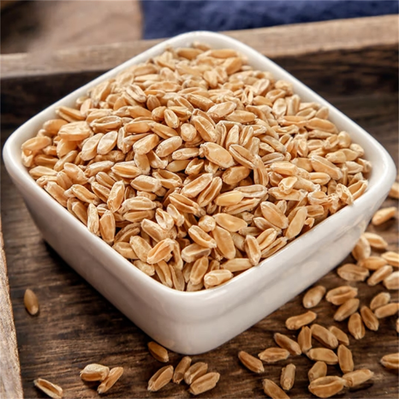 甄选浮小麦茶100克浮水小麦茶新货干瘪小麦干货正品另售黄芪酸枣仁高清大图