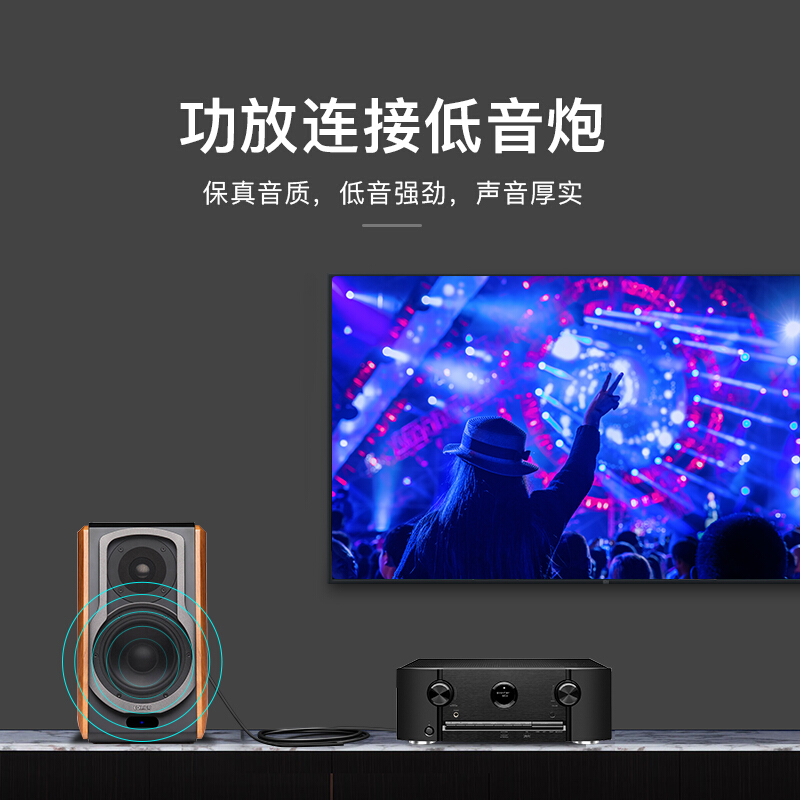 秋叶原(CHOSEAL) 双莲花转单6.5音频线 10米