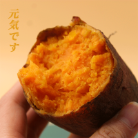 【清仓特惠价】新鲜沙地糖心红薯小薯10斤（单果约20~100g）蜜薯正宗湛江西瓜红番薯甜糯地瓜粉糯香甜健康绿色食品