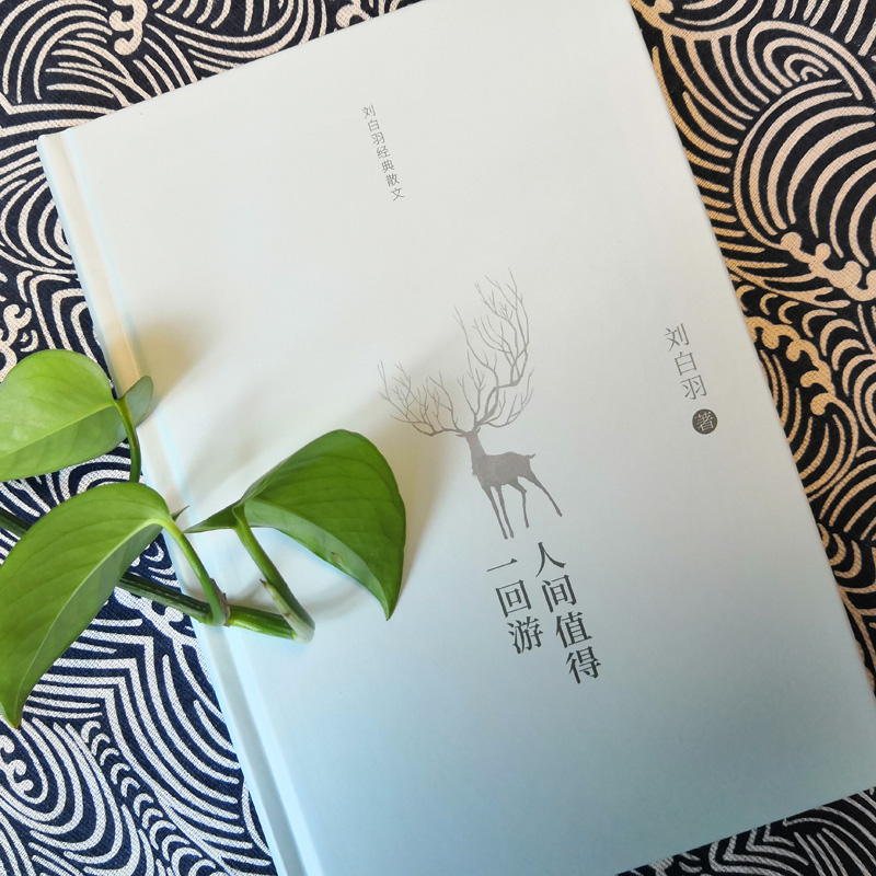 醉染图书人间值得一回游 刘白羽经典散文9787559650016高清大图