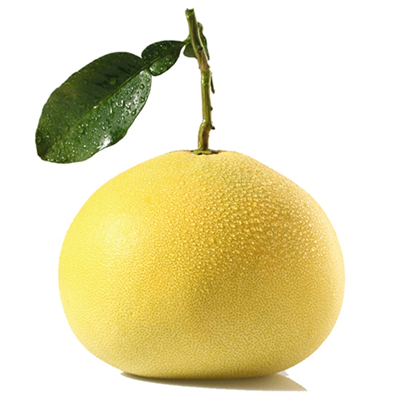 个人店其他品牌柚子