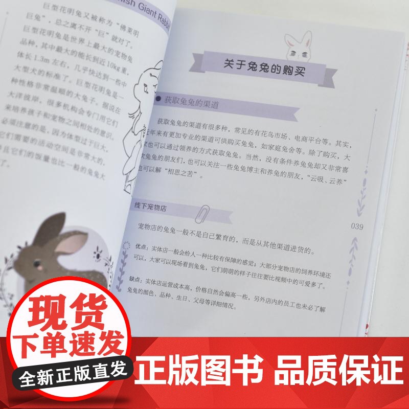 *开始养兔兔 兔兔行为及养护指南 养兔手册 养兔子书籍 宠物兔饲养 兔兔子行为解读 新手养兔攻略高清大图