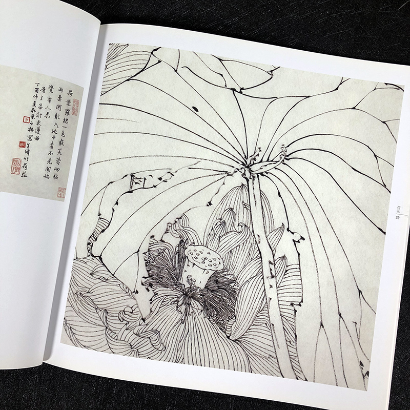 [醉染正版]荷花 白描技法精解 中国画花草植物工笔画白描底稿书白描勾线画谱美术绘画初学者入门到精通基础教程 线描写生范例高清大图
