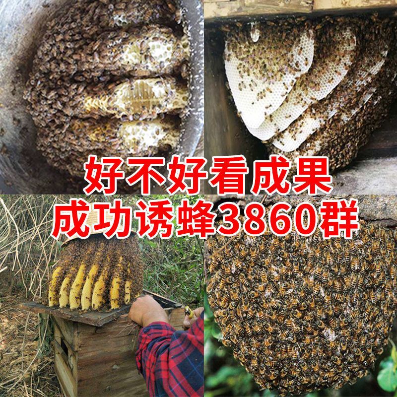 诱蜂膏收捕野蜜蜂招蜂水诱蜂神器收蜂水收捕野蜜蜂蜂王信息素 蜂王不请自来(一瓶装)