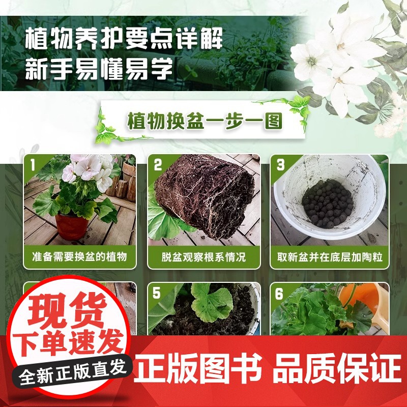 [正版]超实用!阳台花园的设计与布置 阳台花园 阳台布局 阳台风格 阳台装饰美化 低成本 低维护 操作简单易上手高清大图