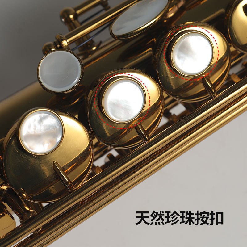 罗林斯卡洛兰高音萨克斯降b直管萨克斯管乐器初学演奏通用a1