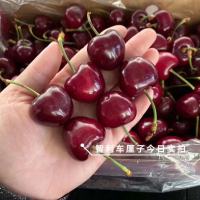 [春节正常发货]顺丰速运 希悦果品 智利进口车厘子 5斤JJJ级 精选大果礼盒装 新鲜车厘子应季水果 部分地区随机快递