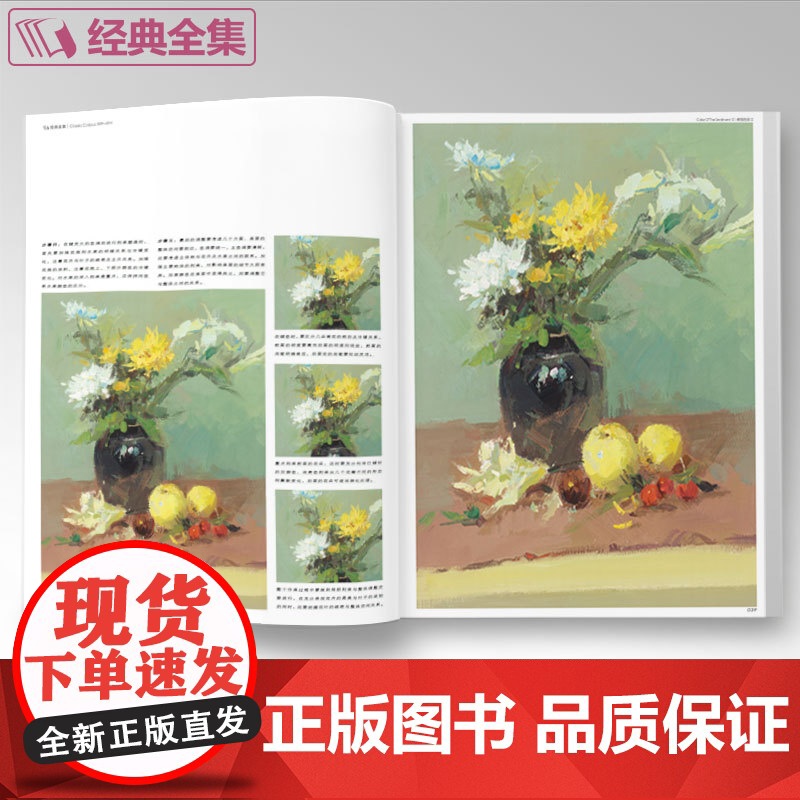经典全集 色彩静物水粉书籍临摹教程中国美院杭州名师突围2范本写sh高清大图