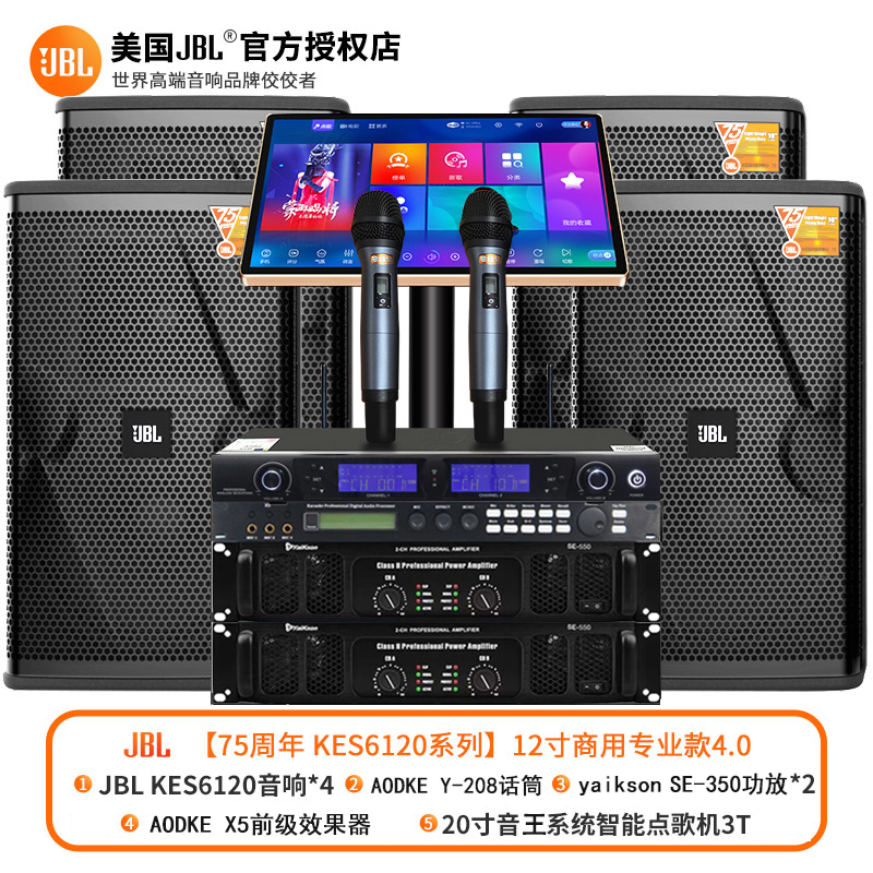 JBL KES6120 家庭KTV音响套装全套点歌机卡拉OK唱歌机家用K歌影院专业设备 [12寸商用专业款4.0]