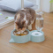 狗盆狗碗猫碗双碗自动饮水食盆狗狗碗猫咪水碗防打翻饭盆宠物用品