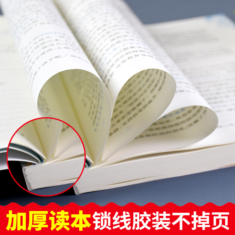 绿山墙的安妮 304页 [正版]爱德教育青少版经典名著书库 绿山墙的安妮 全译本中小学生三-六年级阅读课外书3456年级高清大图