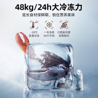 星星(Xingx)BD/BC-528GE 518升 冰柜冷柜 厨房商用保鲜设备卧式大容量 冷藏冷冻转换单温冰柜 一级能耗
