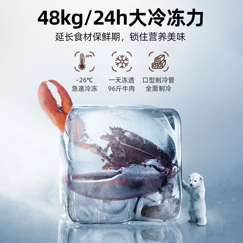 星星(Xingx)BD/BC-528GE 518升 冰柜冷柜 厨房商用保鲜设备卧式大容量 冷藏冷冻转换单温冰柜 一级能耗