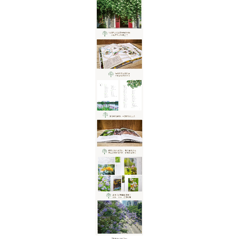 醉染图书街巷里的四季 成都草木寻踪9787100181709高清大图