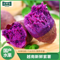 [苏鲜生]越南进口新鲜紫薯 地瓜蔬菜 软糯香甜 9斤 小果 单果40-100g以上 软糯香甜
