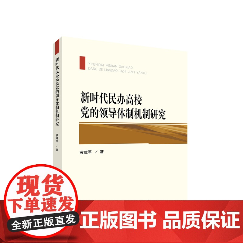 新时代民办高校党的领导体制机制研究 黄建军著 人民出版社高清大图