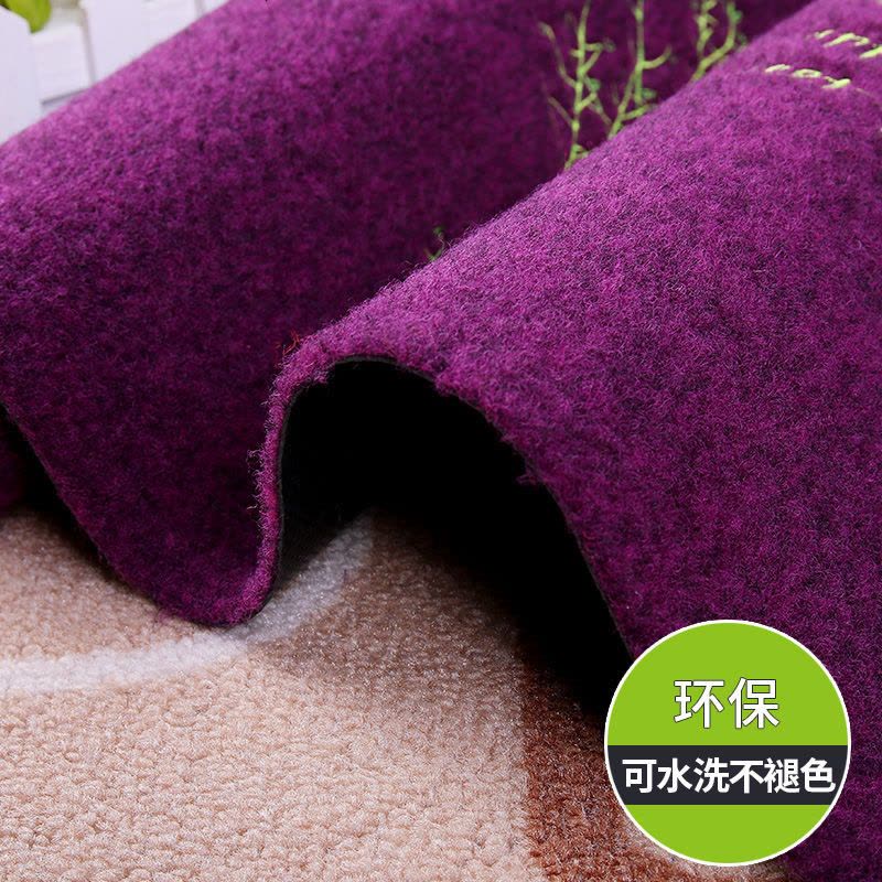 进地垫垫入户厅地毯厨房地垫浴室防滑垫子家用吸水垫子 紫色铁塔 120*120厘米图片