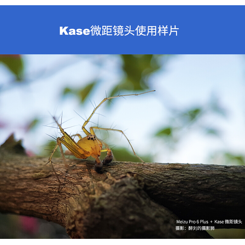 卡色(kase)15-45mm微距镜头II代 手机镜头二代 微距镜头 苹果华为三星OPPO小米长焦手机镜头 手机摄影拍照