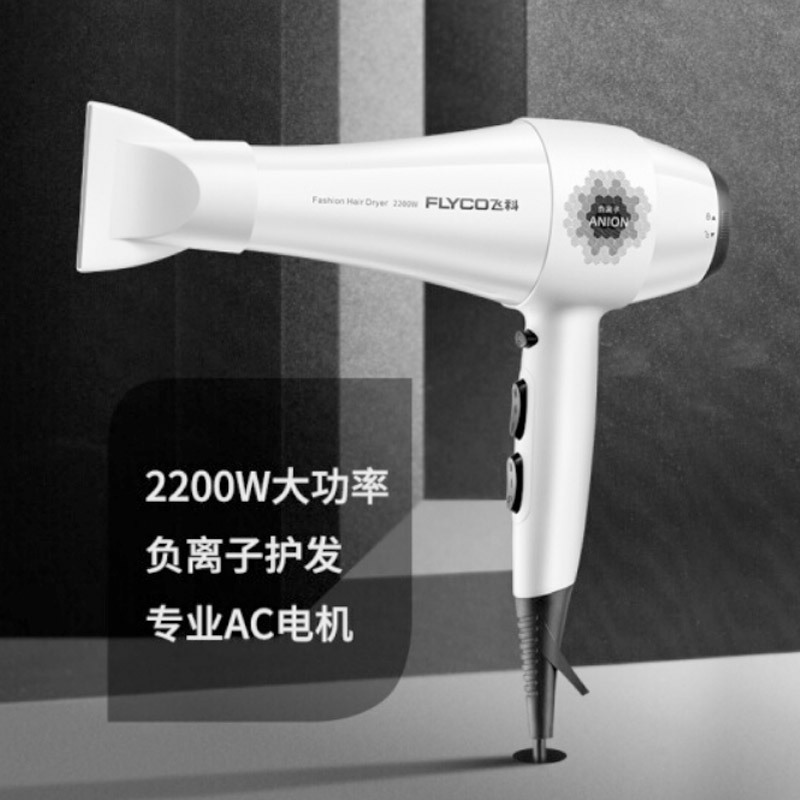 飞科(FLYCO)电吹风机发廊专业2200W大功率吹风筒负离子FH6106