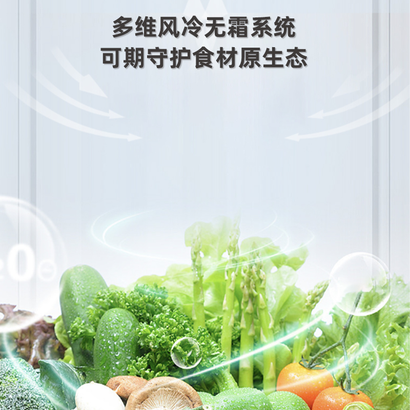 新飞201立升风冷无霜冰箱BCD-201WK2A高清大图