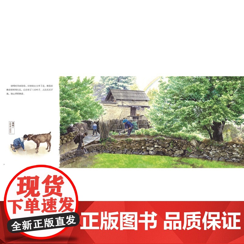 盘中餐儿童绘本故事书 九神鹿绘本馆儿童绘本3-6岁儿童故事书绘本幼儿园科学趣味启蒙亲子共读故事书图画睡前故事书高清大图