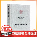 正版 唐代净土祖师全集-净土宗大师文集 佛说观无量寿佛经疏 往生礼赞偈 观念阿弥陀佛相海三昧功德法门 临终正念诀 全