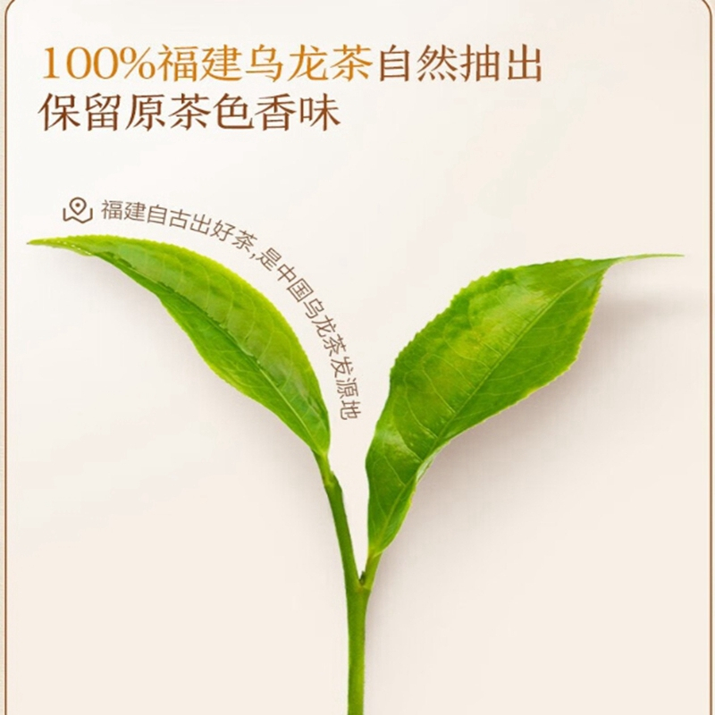 多口味混合装整箱茶饮料335ml/15瓶